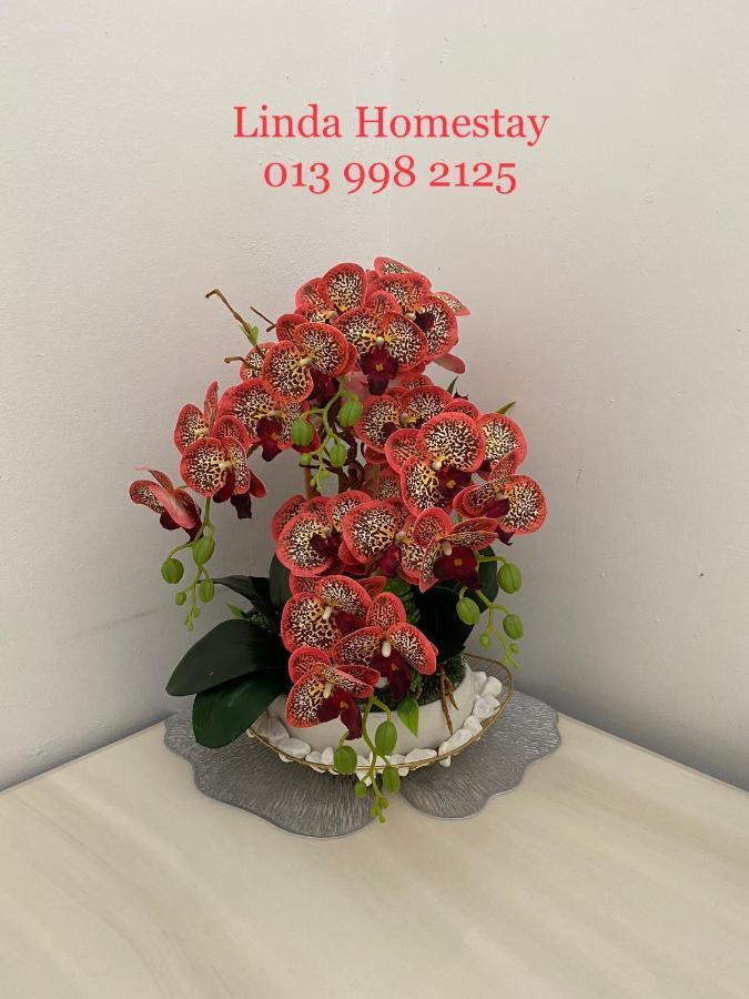 Lh Homestay Bandar Utama غُوا موسانغ المظهر الخارجي الصورة